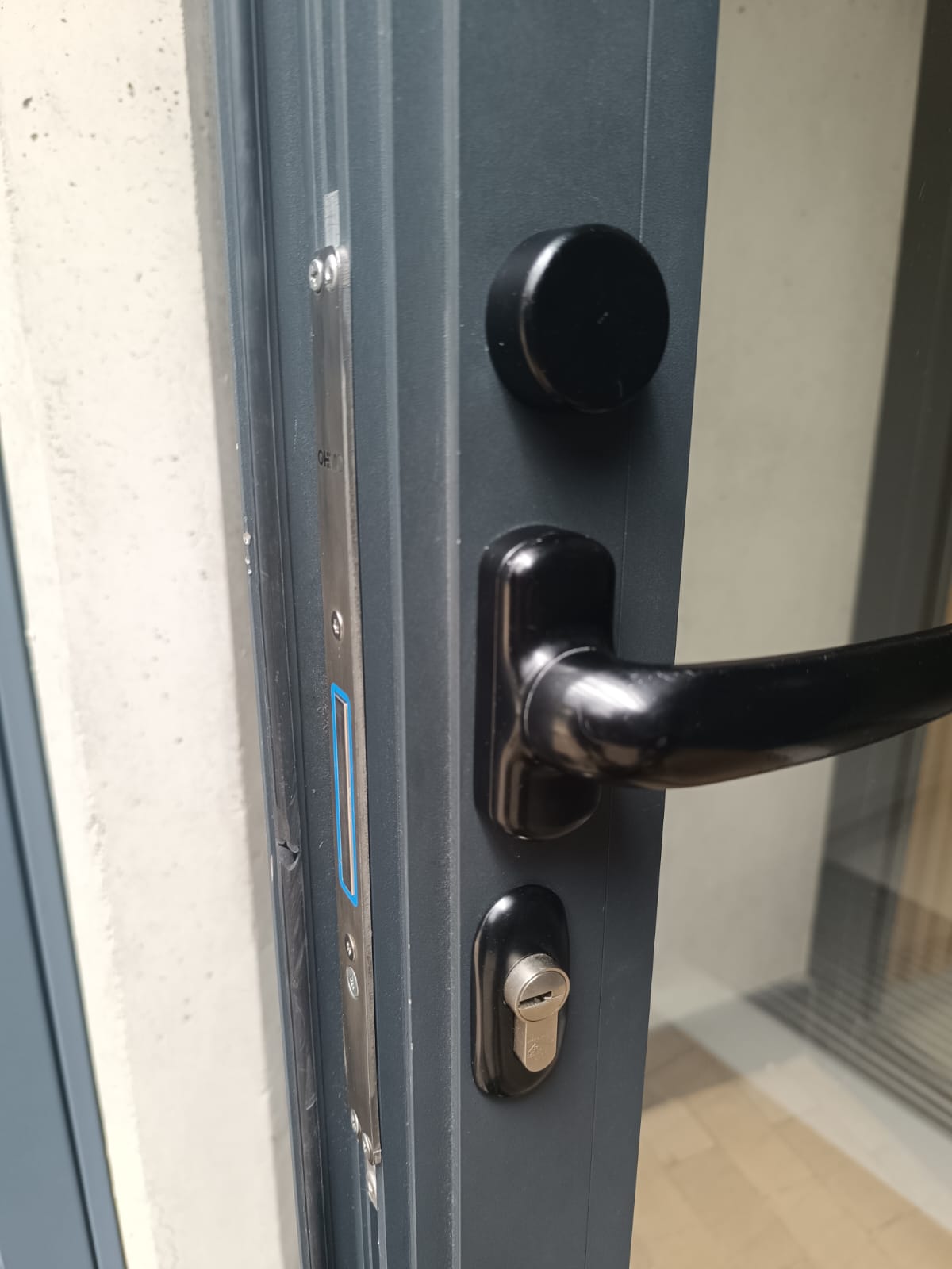 Escudo y pomo de seguridad en puerta gris